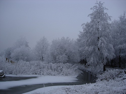 Sneeuw12Amsterdam