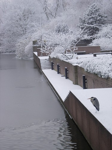 Sneeuw03Amsterdam