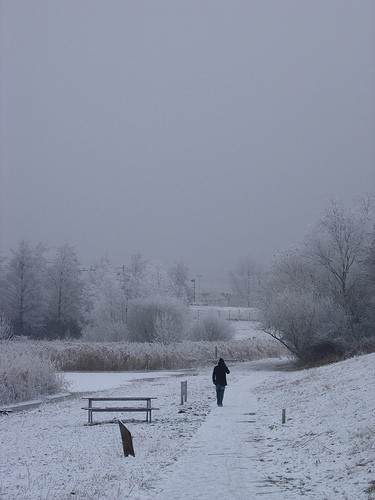 Sneeuw09Amsterdam