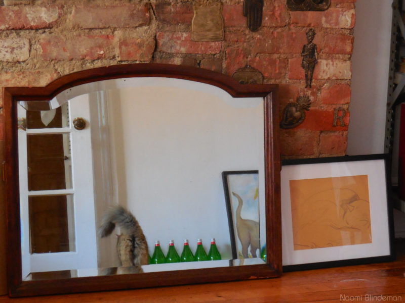 Photo of a reflection in a mirror of a cat with a curly tail, 7 green bottles, a painting of a cat with a curly tail and, next to the mirror, a drawing of a sleeping cat.